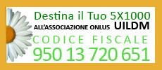 Logo UILDM