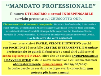 Mandato Professionale